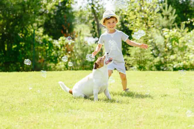 boy with dog in yard