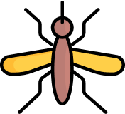 Gnat icon