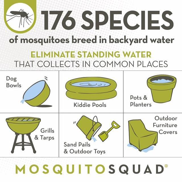 An info graphic that explains the parts of your yard that are most likely to cause mosquitoes to bree