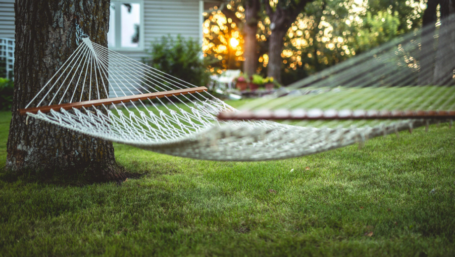 How to Prep Your Hebron Backyard Now for a Bite-Free Summer
