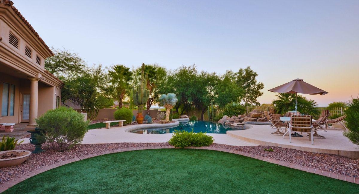 Four Reasons to Choose Home Shield Pest Control in El Paso