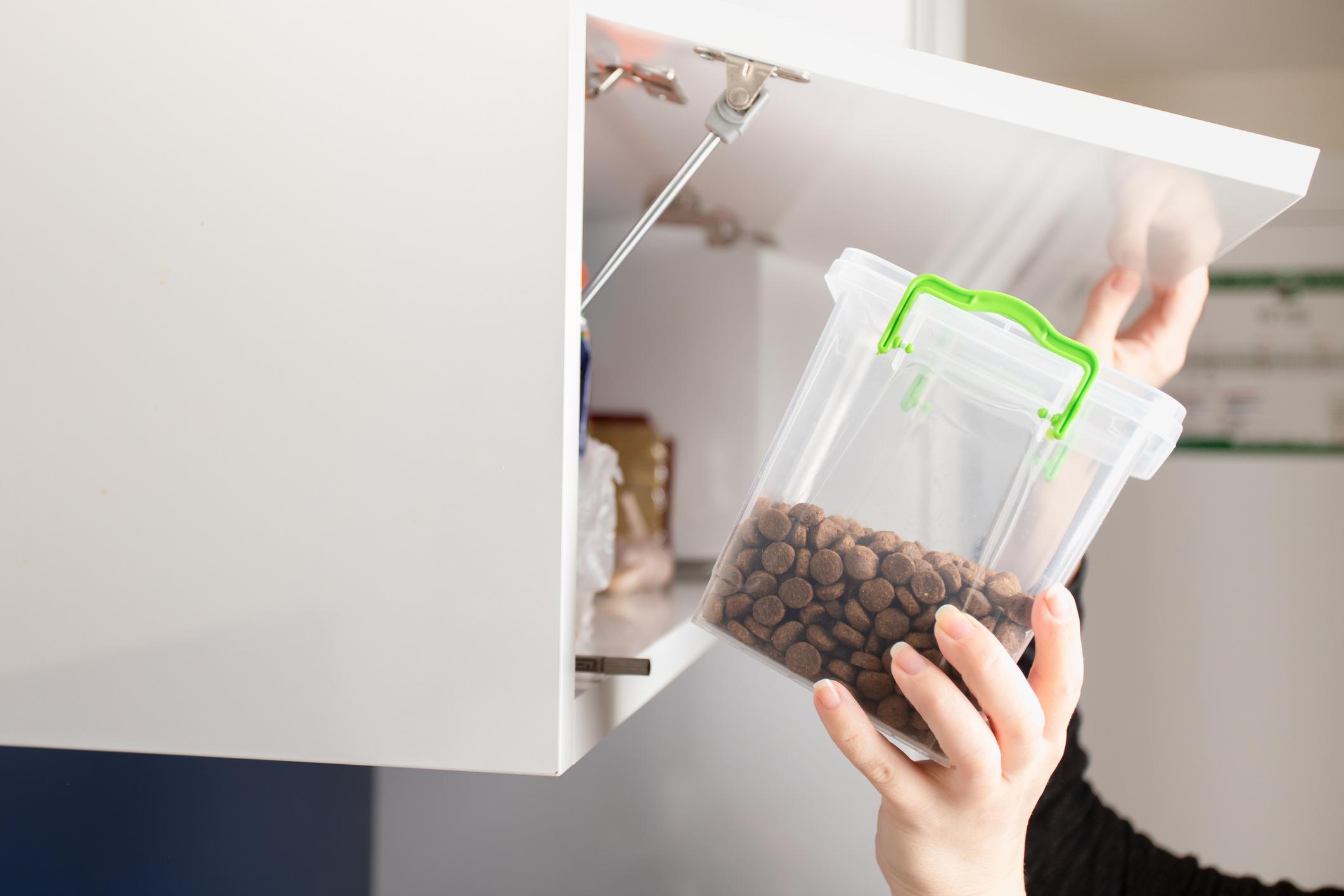 How to deter mice and rats