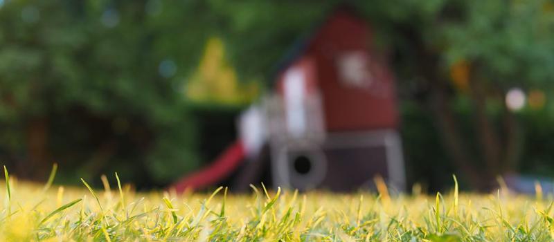 How Long After Mosquito Yard Spray Can You Go Outdoors?