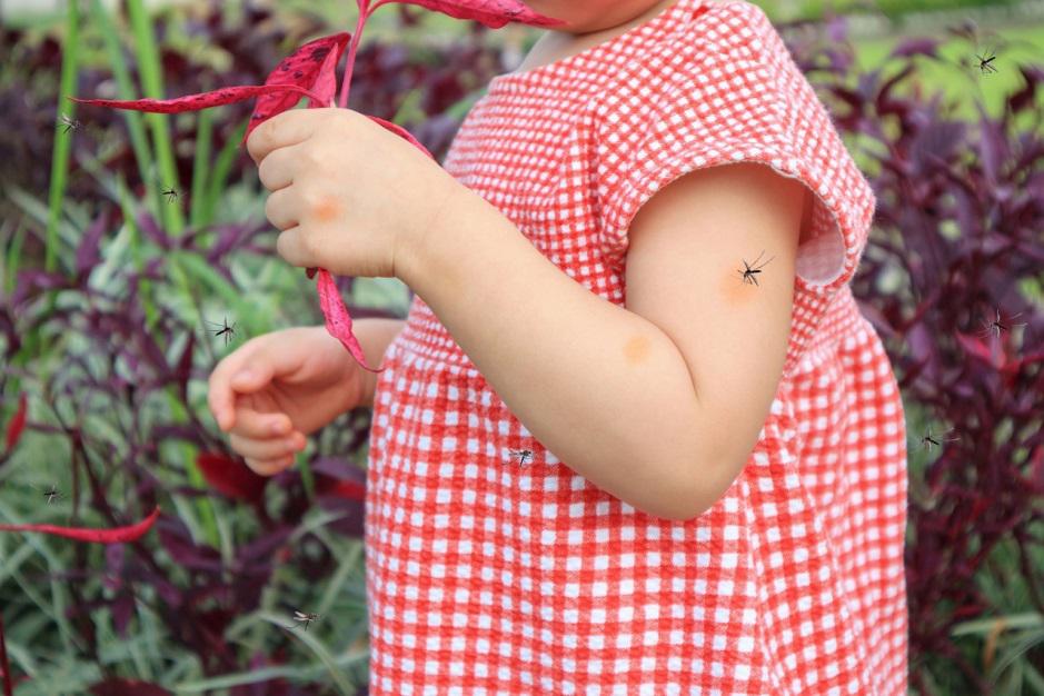 mosquito on toddler's arm