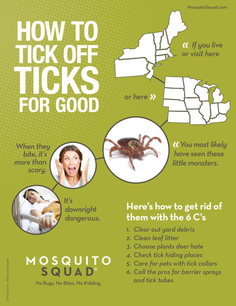 Tips on how to get rid of ticks in your backyard. 
