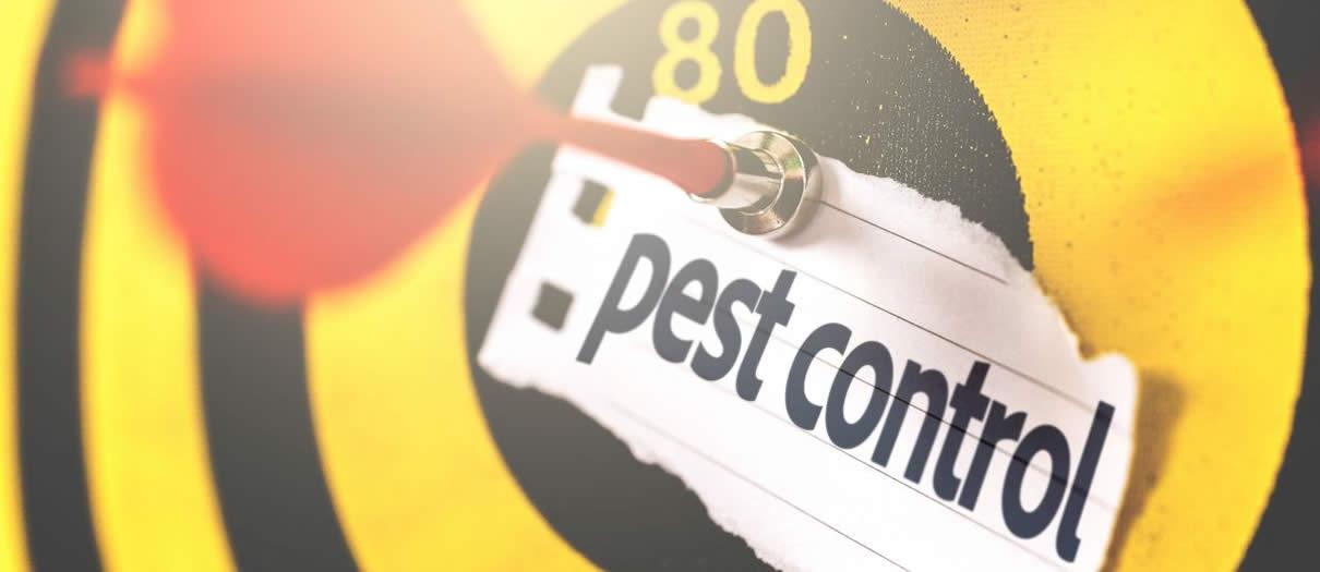Is It Cheaper To Do Your Own Pest Control?