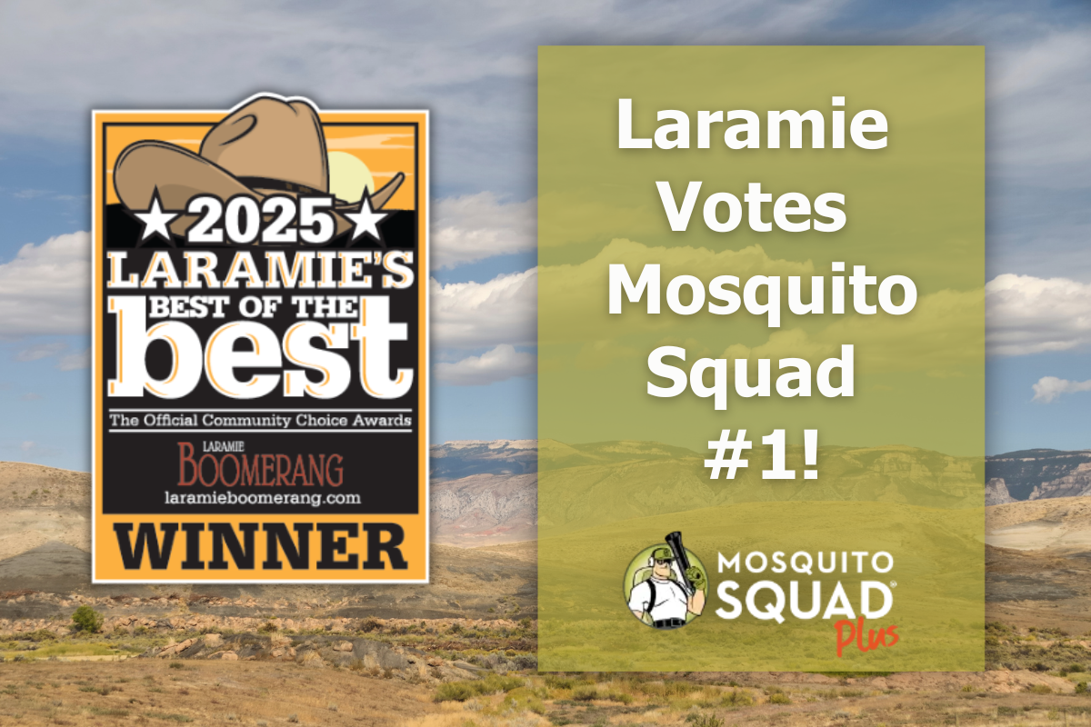 Thank You, Southeast Wyoming: Voted Best Pest Control in Laramie's Best of the Best 2025