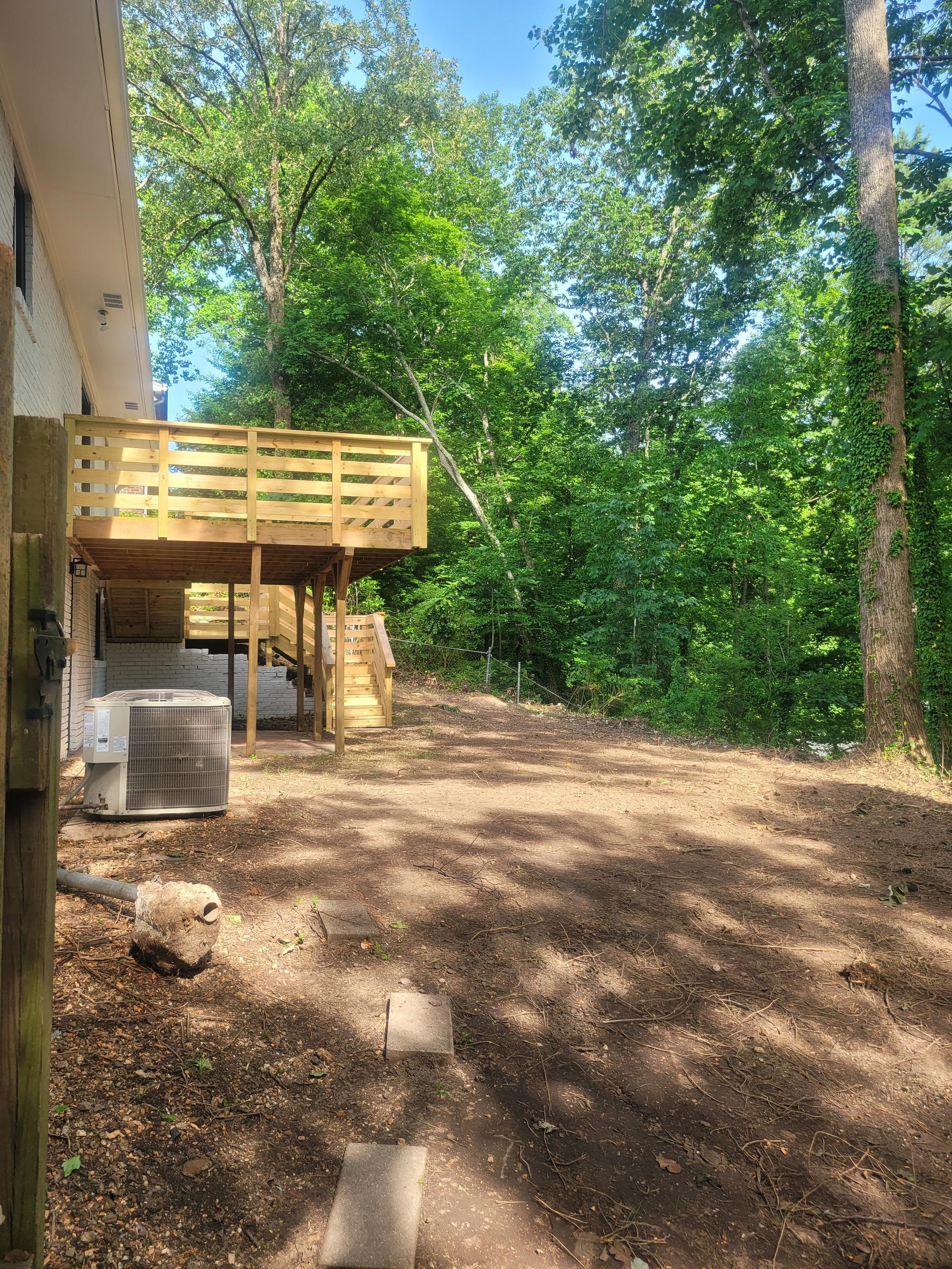 Why Mountain Brook's Beautiful Lawns Are a Fire Ant's Favorite Address