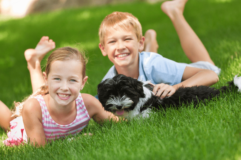 Children and dogs outside.