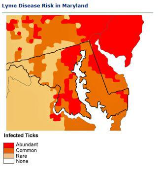 Lyme disease risk in MD