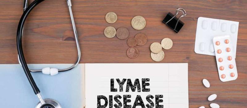 How many ticks in TN carry Lyme disease?