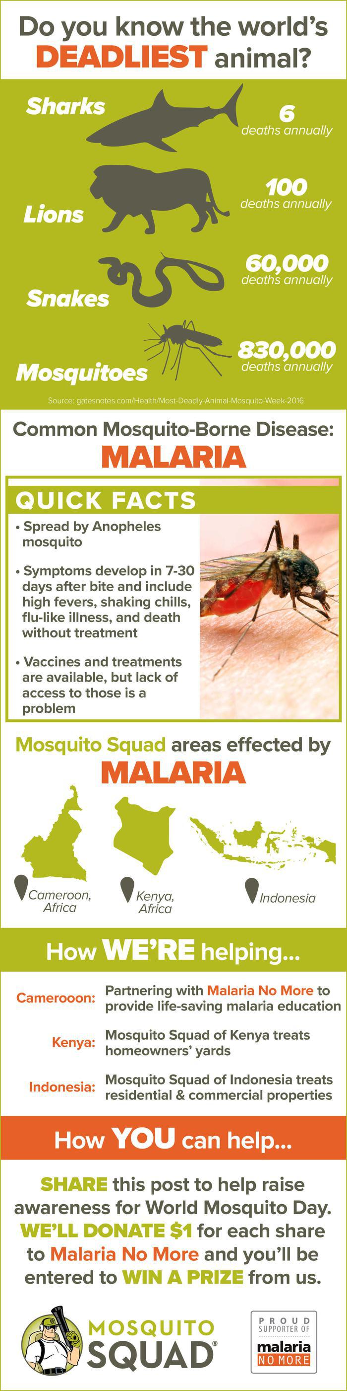 Malaria Symptoms, Treatment, & Prevention Infographic