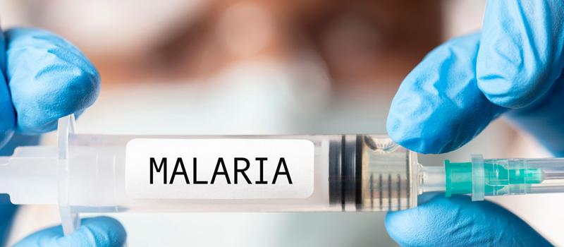 Will Malaria Reach El Paso TX?