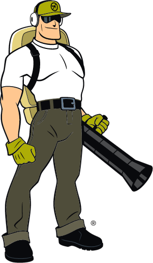 Mosquito Joe