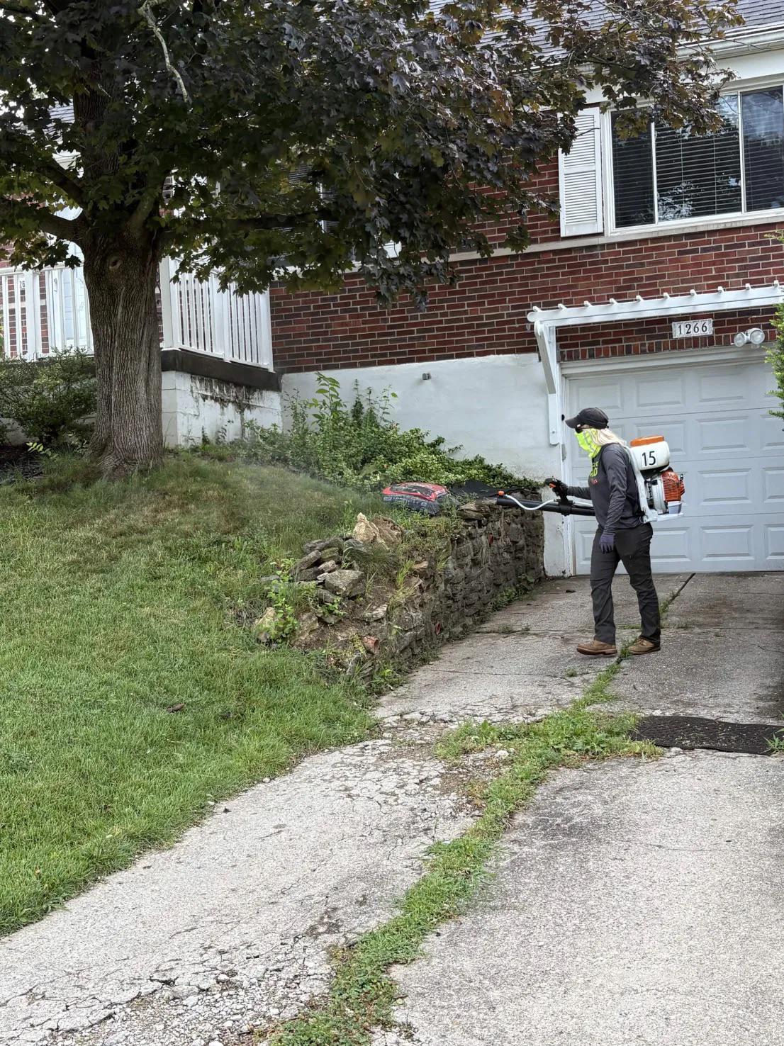Striped Mosquitoes and Ankle Bites: Why Mosquito Control in Dayton Has a Daytime Problem