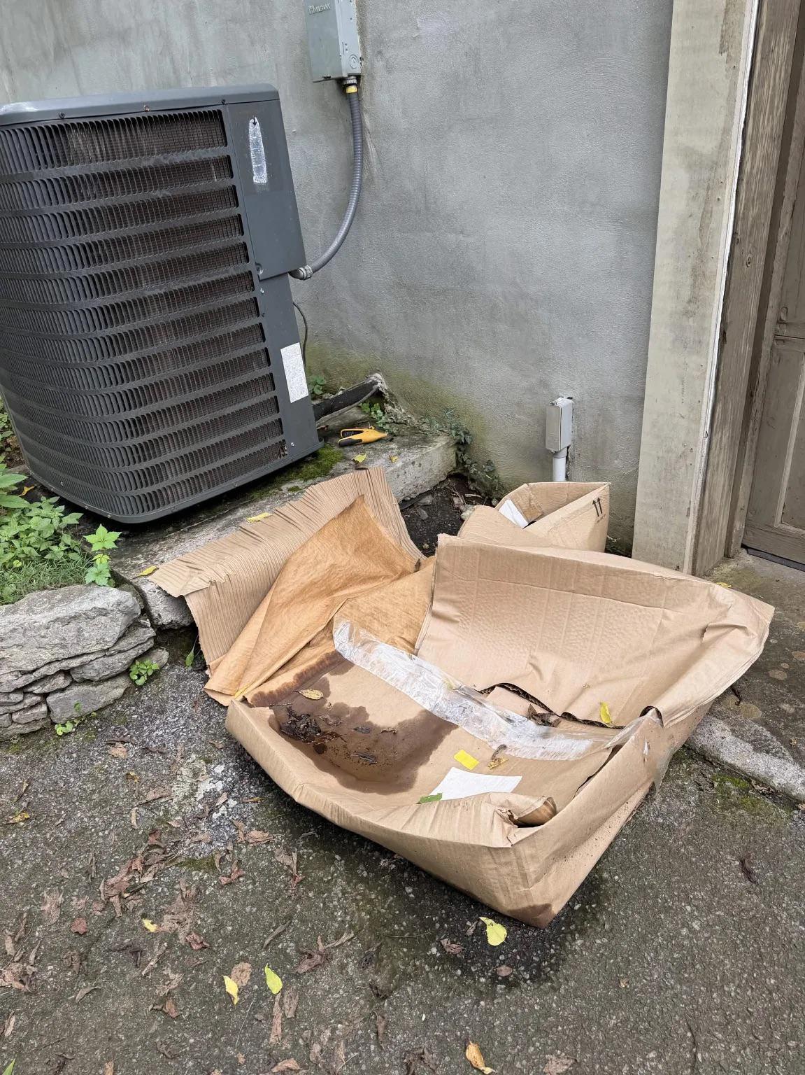 Why Cincinnati Still Has Mosquitoes in October, and What Your Fall Cleanup Leaves Behind for May