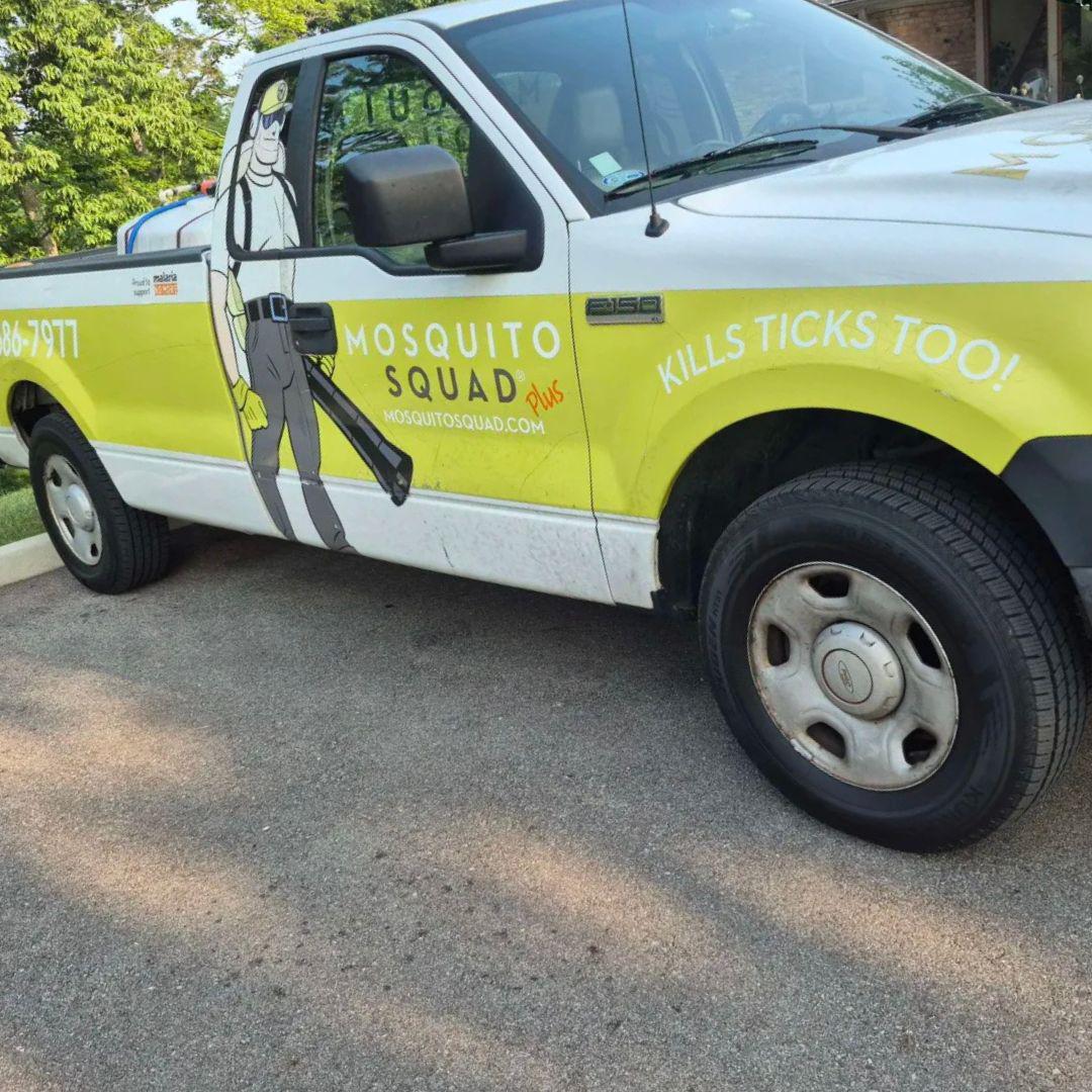 Downtown Covington Has No Lawns and a Serious Mosquito Problem
