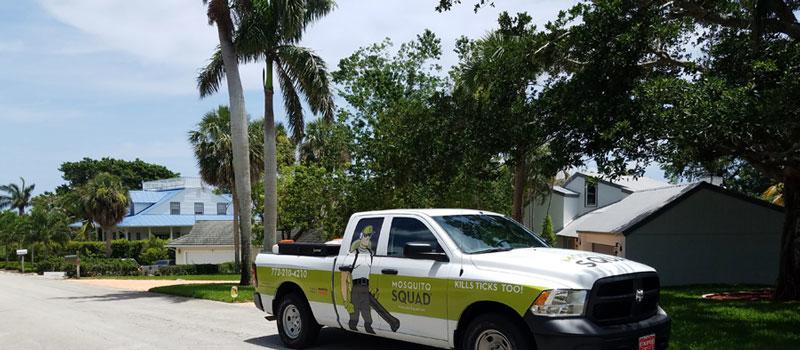 Which of our Mosquito Control Services is Right for You?