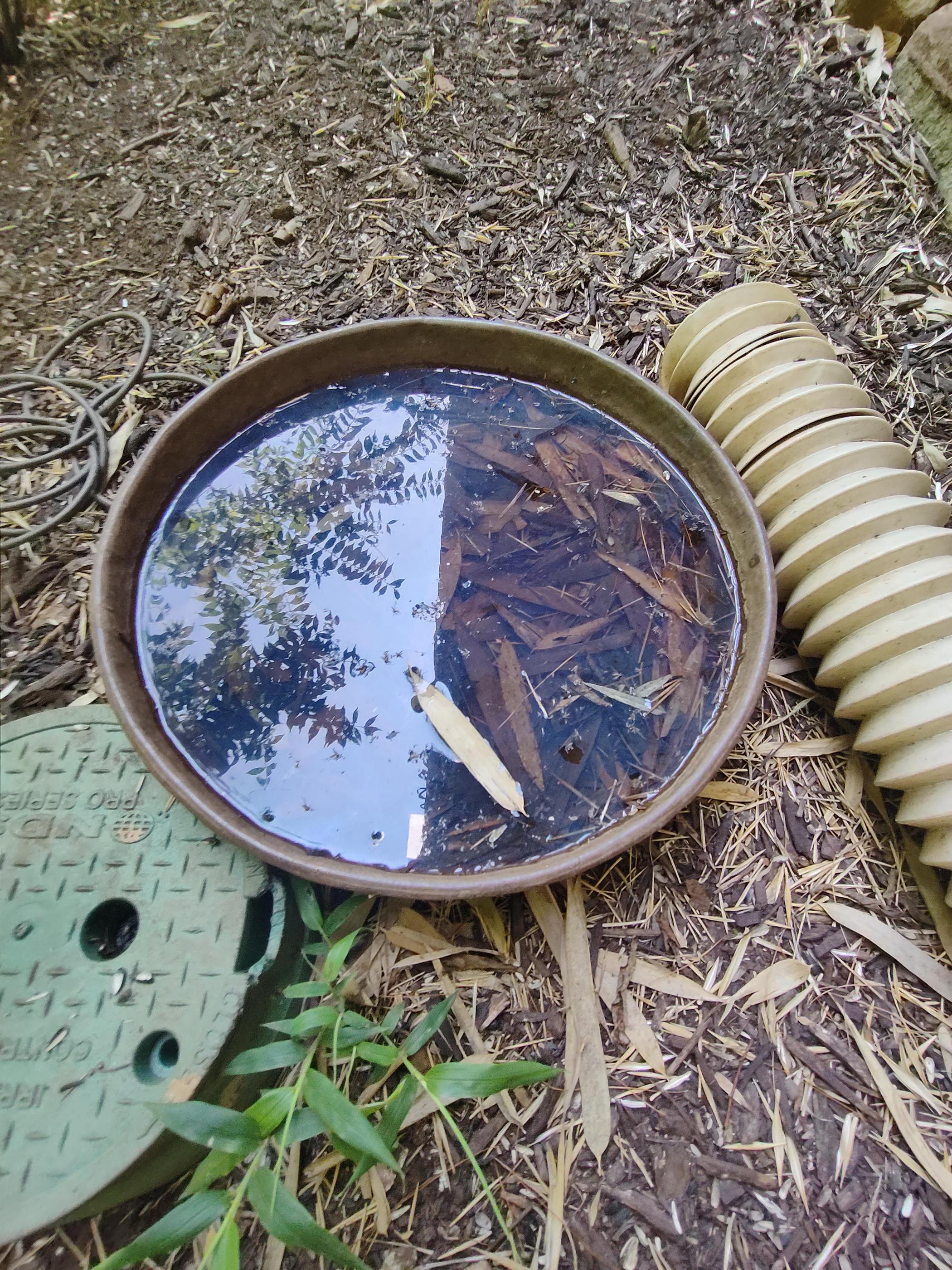When the Spray Isn't Holding: The Hidden Water Our Techs Look For in Trussville Yards