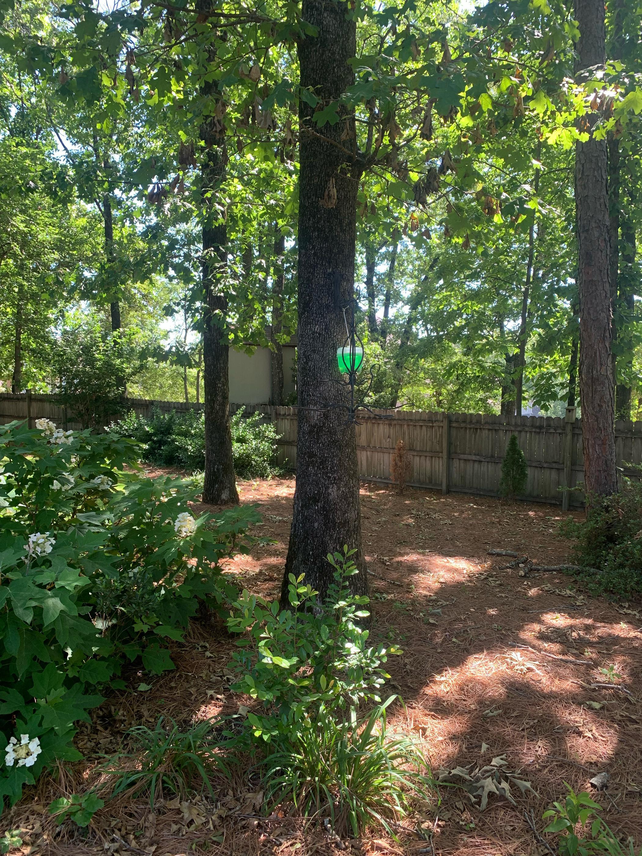 Old River, New Homes, Same Mosquitoes on Trussville's Cahaba