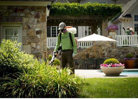 Man spraying Mosquito spray in a yard