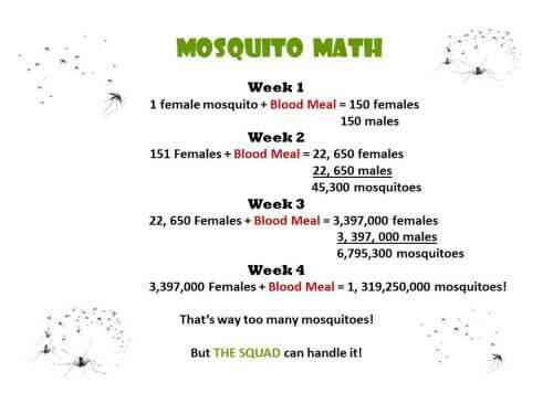 mosquito math 