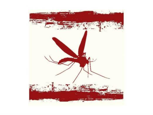 red mosquito 
