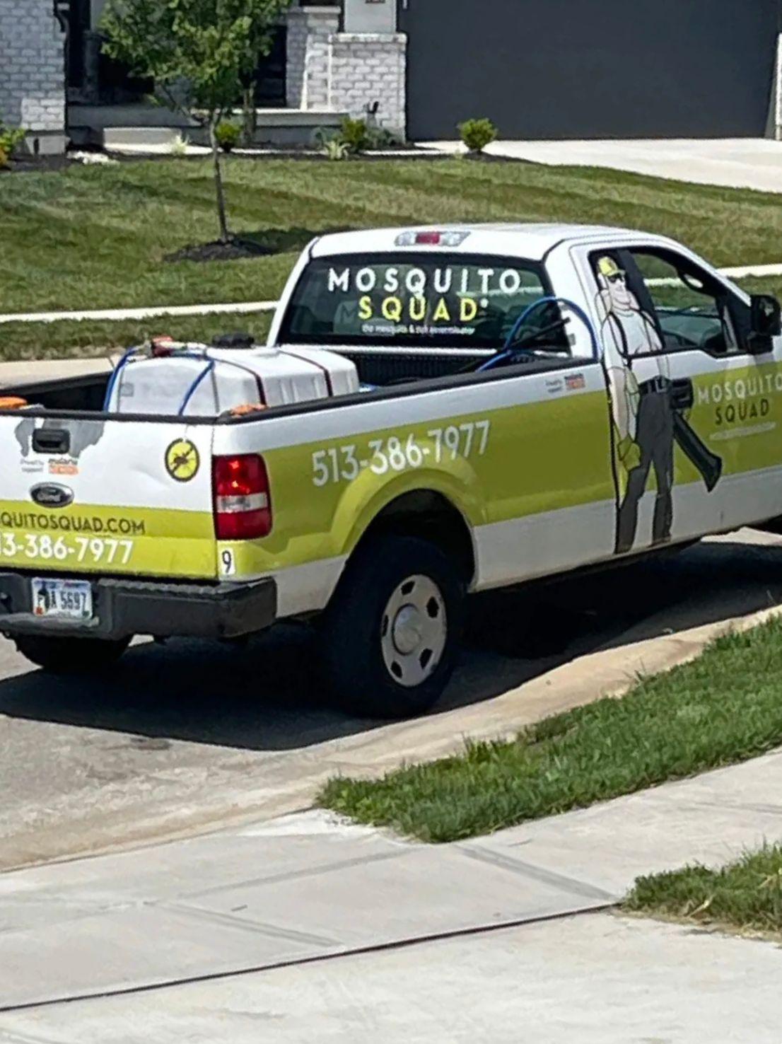 Florence's Mosquitoes Are Breeding Under the Streets