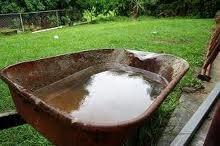 standing water in wheelbarrow