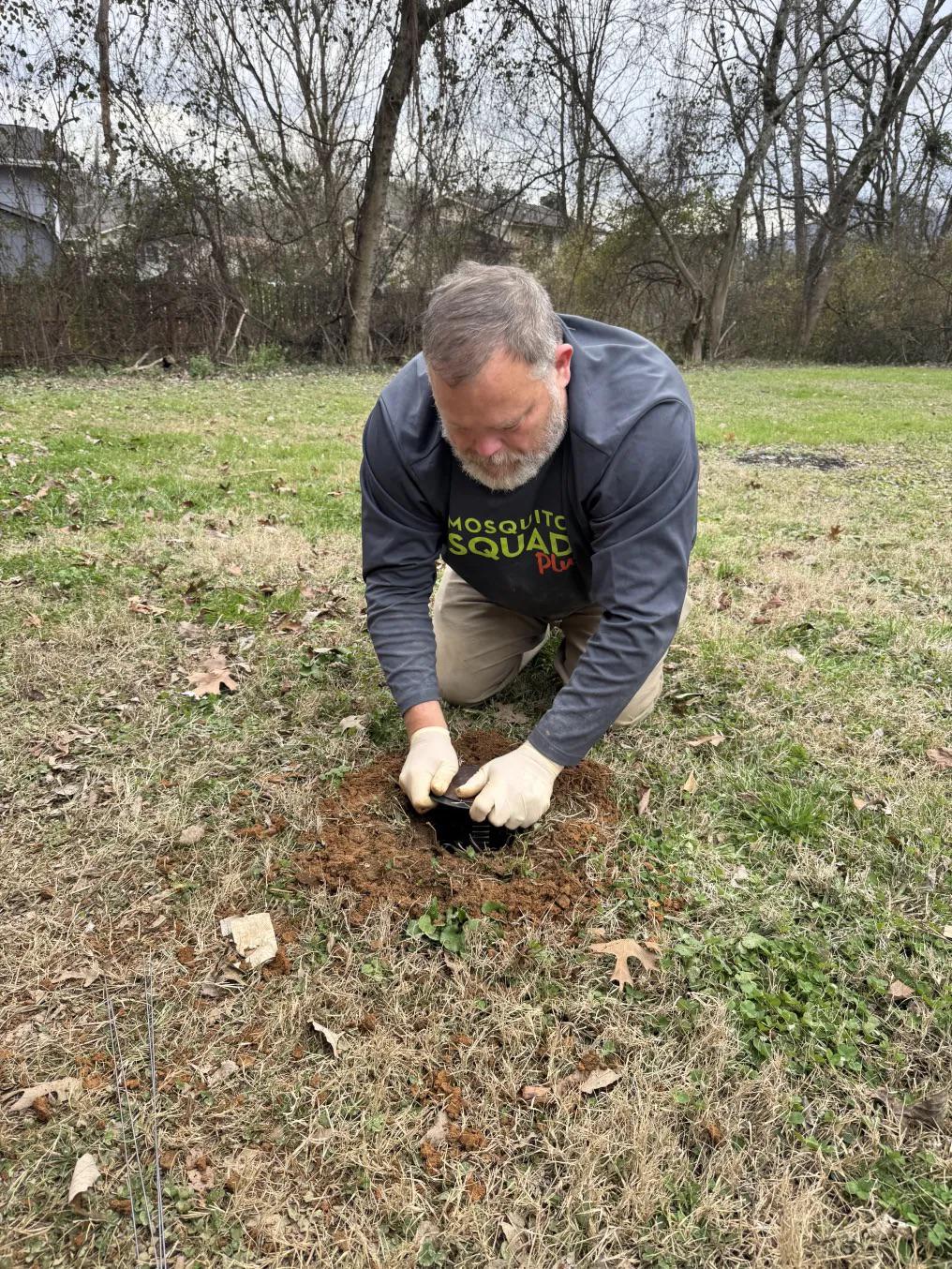 Why Termite Pressure in Ooltewah Is Not the Story Most Homeowners Think It Is