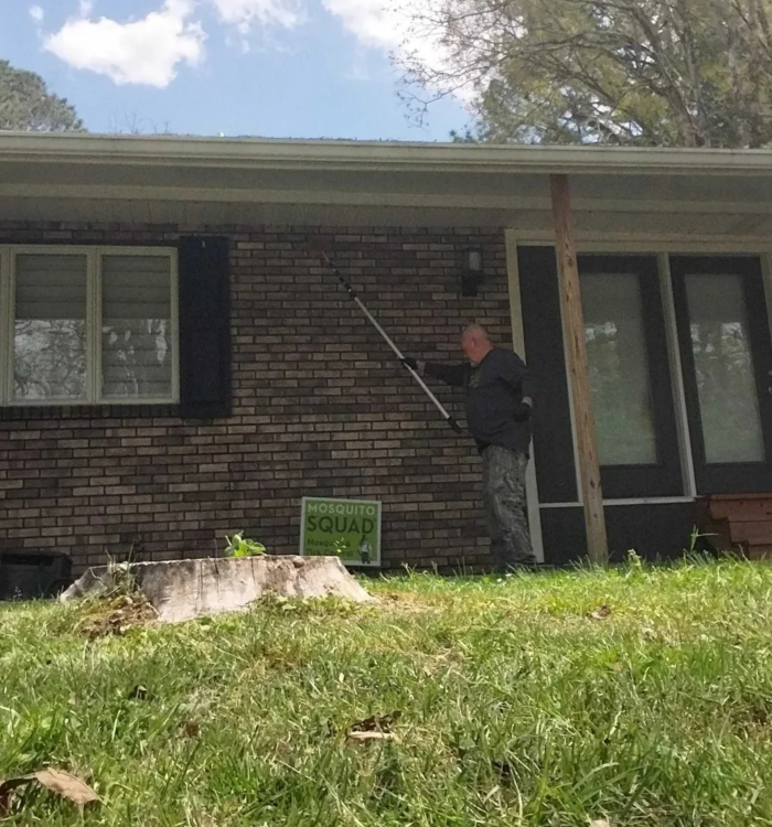 What Limestone Creek Brings Into Toney Yards Before Anyone Realizes the Season Started