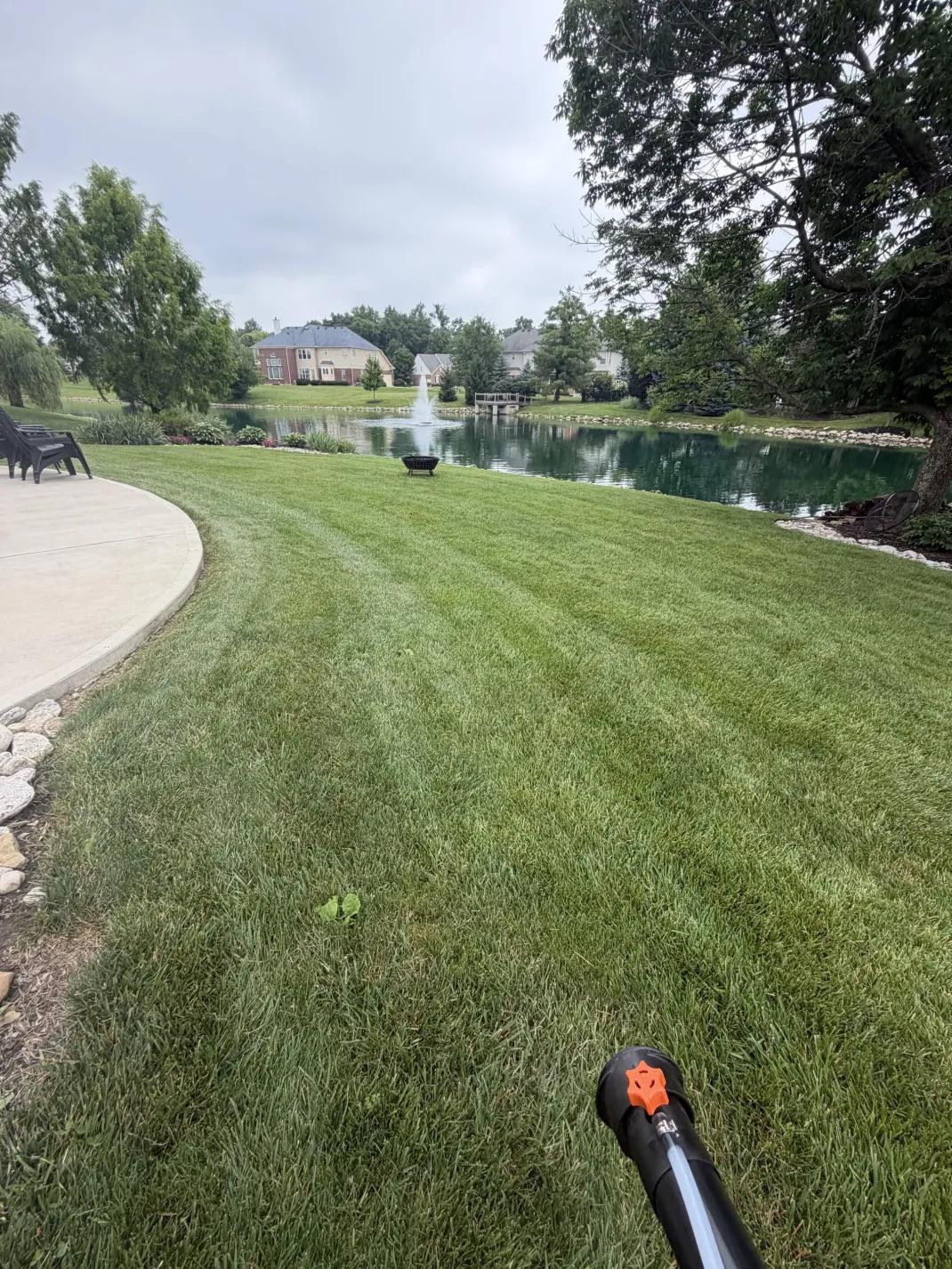 The Water That Makes Richwood Worth the Address Is the Same Water Breeding the Mosquitoes