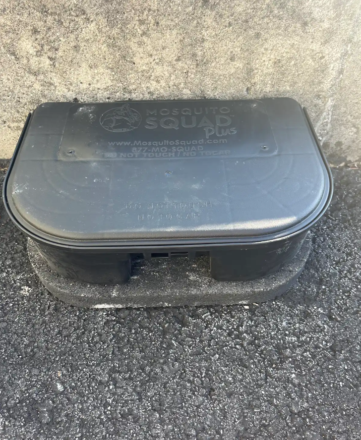 Saw One Mouse in Kenwood? What a Rodent Inspection Can Turn Up