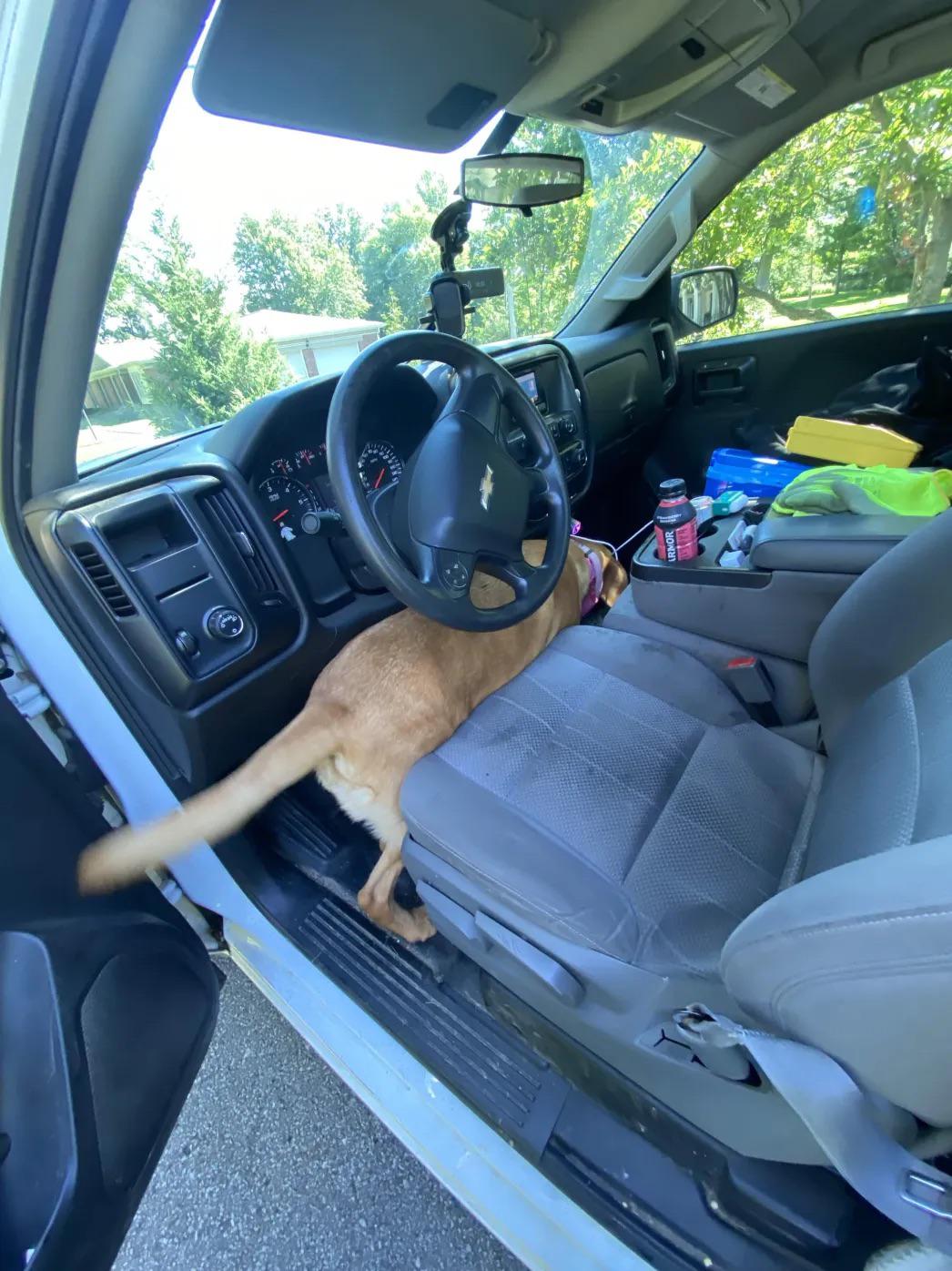 What the Dog Park Sends Home With You in Cahaba Heights