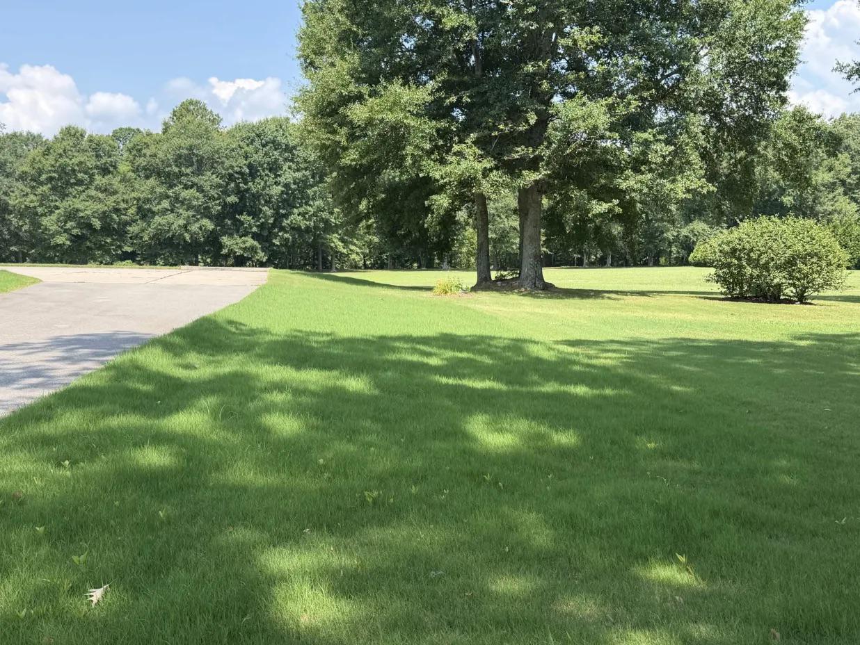 Why Owens Cross Roads Gets a Mosquito Most of Huntsville Never Sees