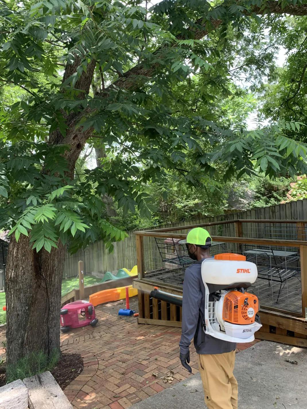 Why Homewood's Worst Mosquito Weeks Come After the July Heat Breaks