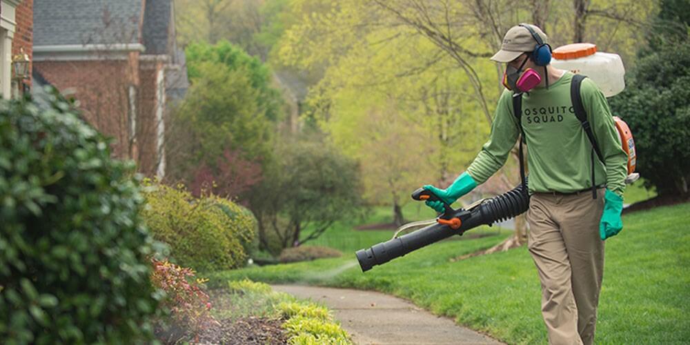 Mosquito Squad spraying yard 