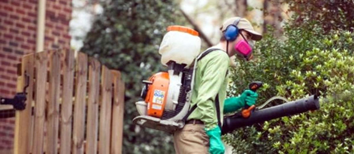 Does Mosquito Squad Use Mosquito Fogging?