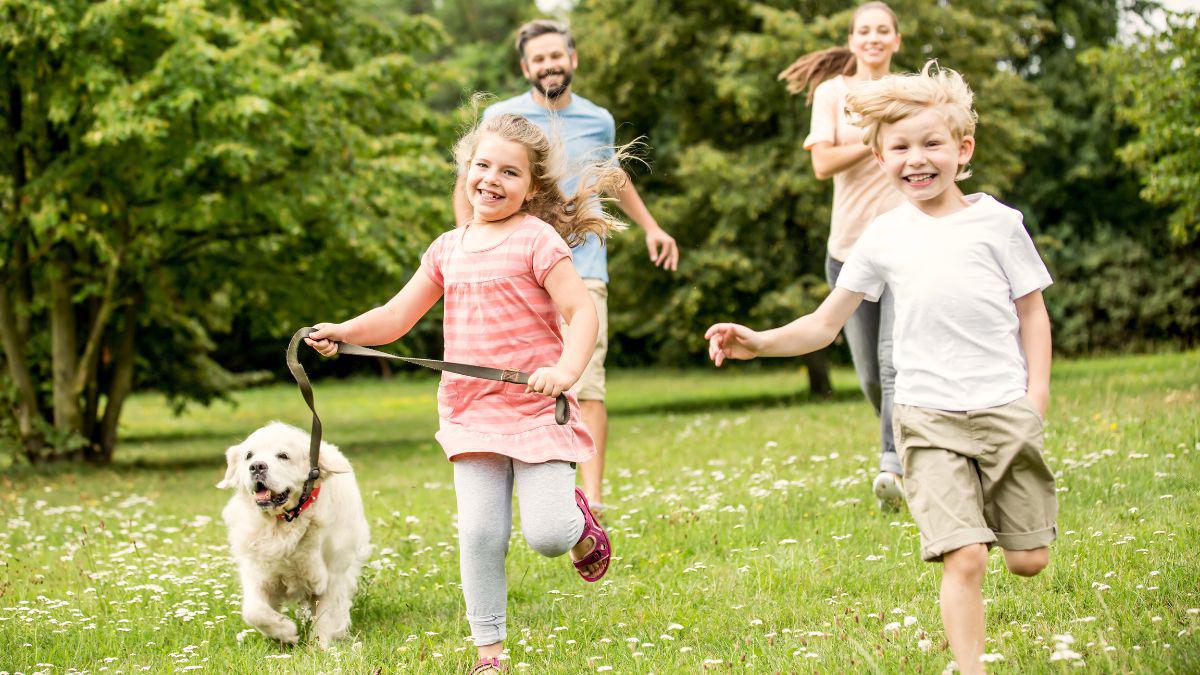 Are Mosquito Squad’s mosquito yard treatments only effective on mosquitoes?