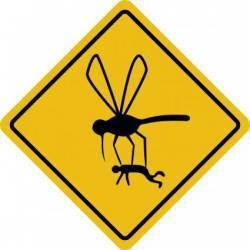 mosquito lift 