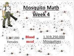 Mosquito math week 4