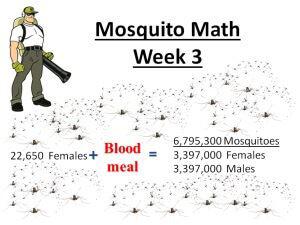 mosquito math 3