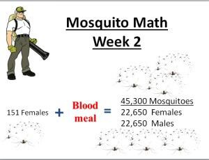 mosquito math 2 