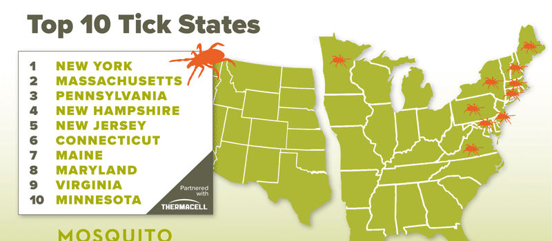 Massachusetts Makes the Top 10 List for Mosquitoes & Ticks!