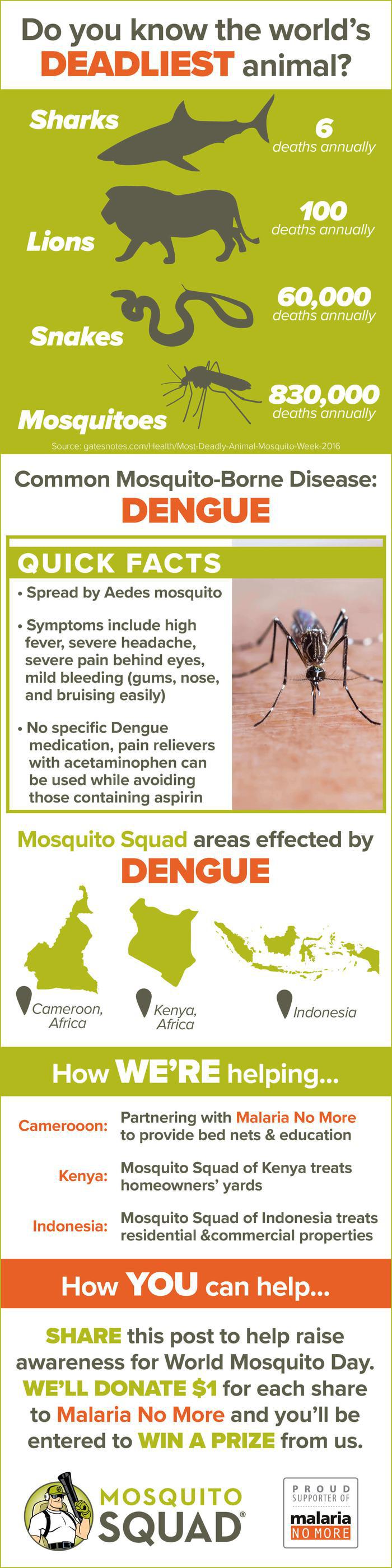 Dengue Virus Facts to Know Before World Mosquito Day