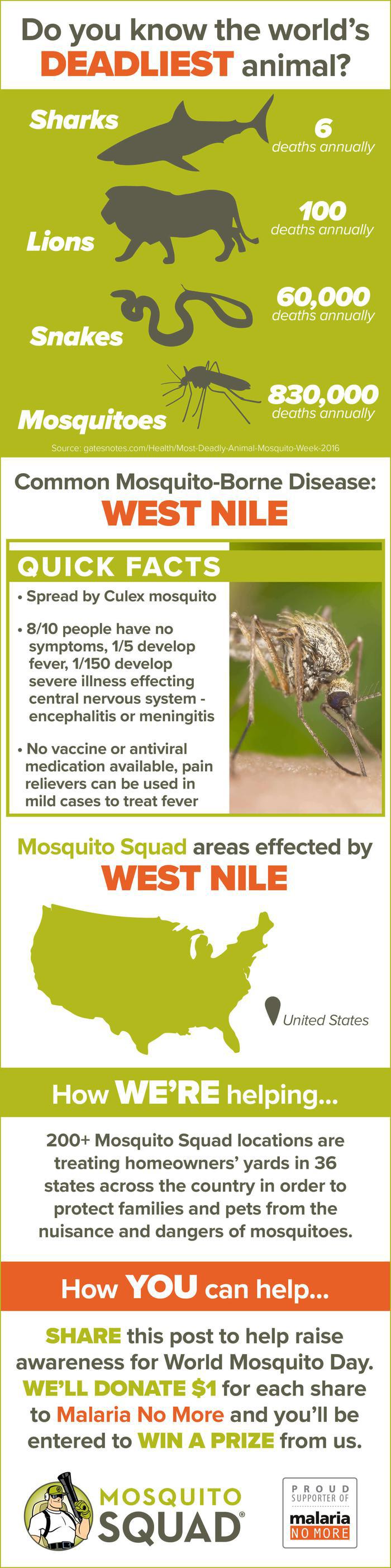 West Nile Virus Facts to Know Before World Mosquito Day