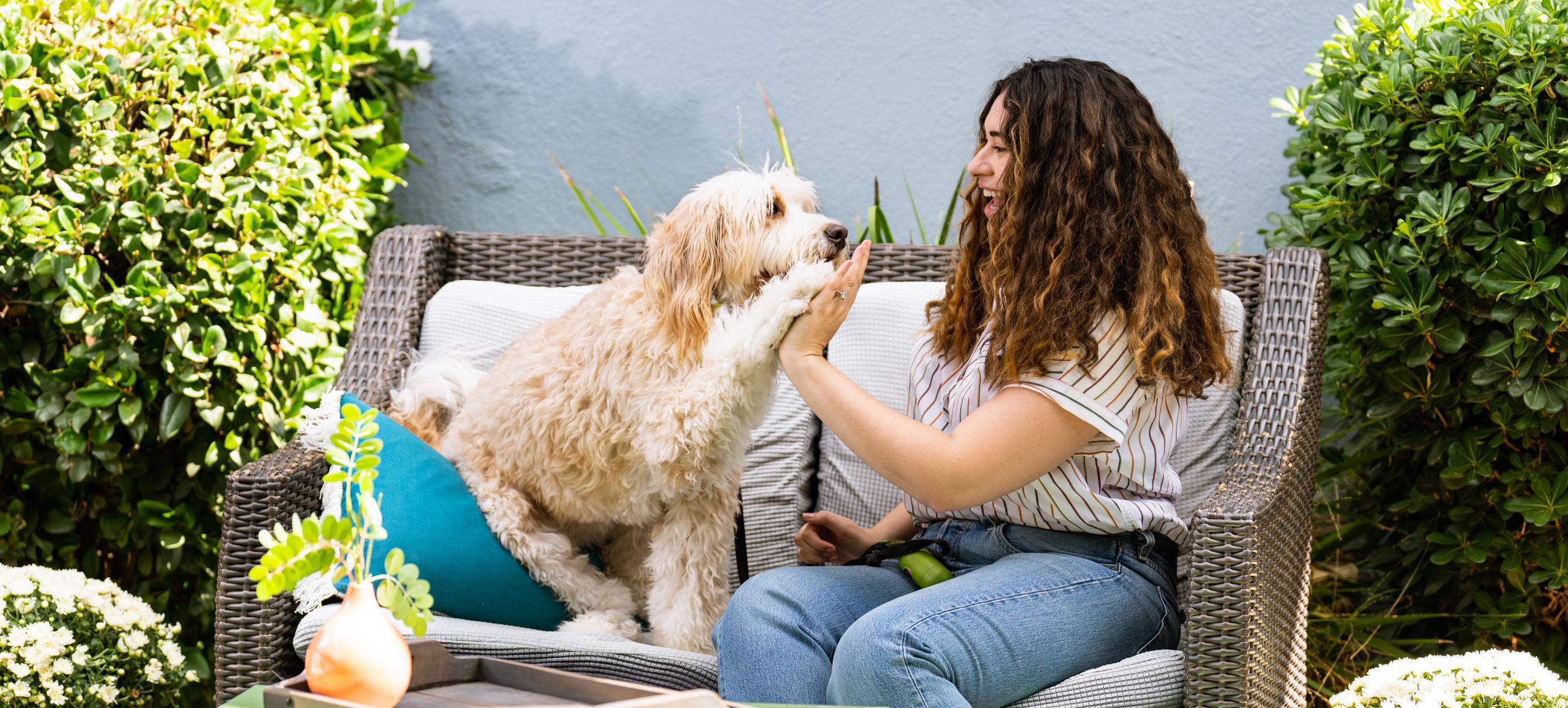 woman high fiving dog on outdoor chair