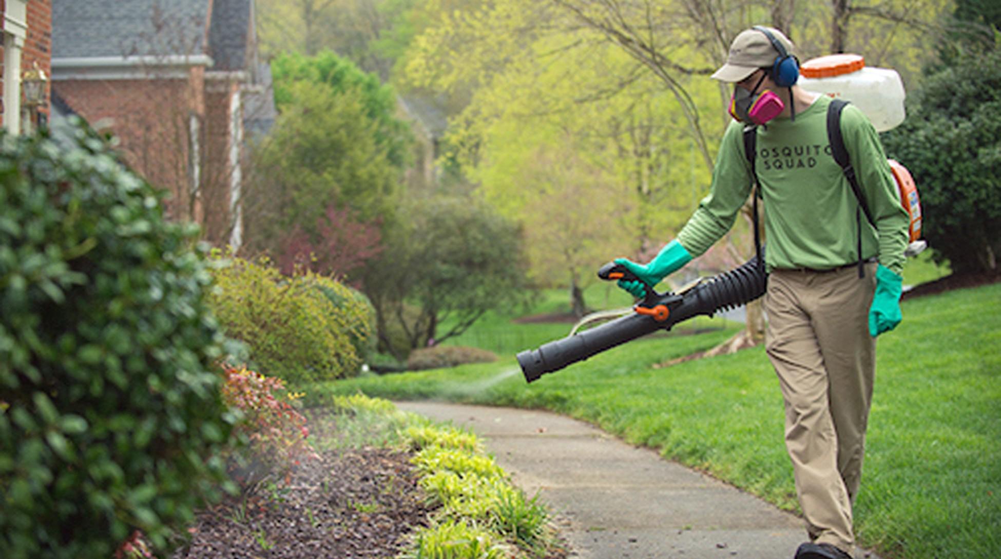 Mosquito Protection in Springfield, MA