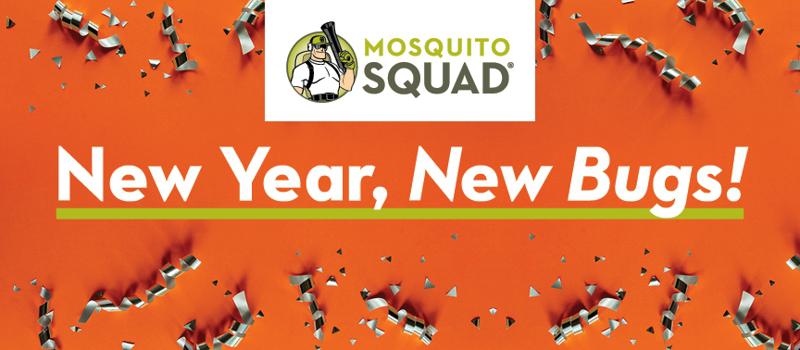 New Year, New Bugs!