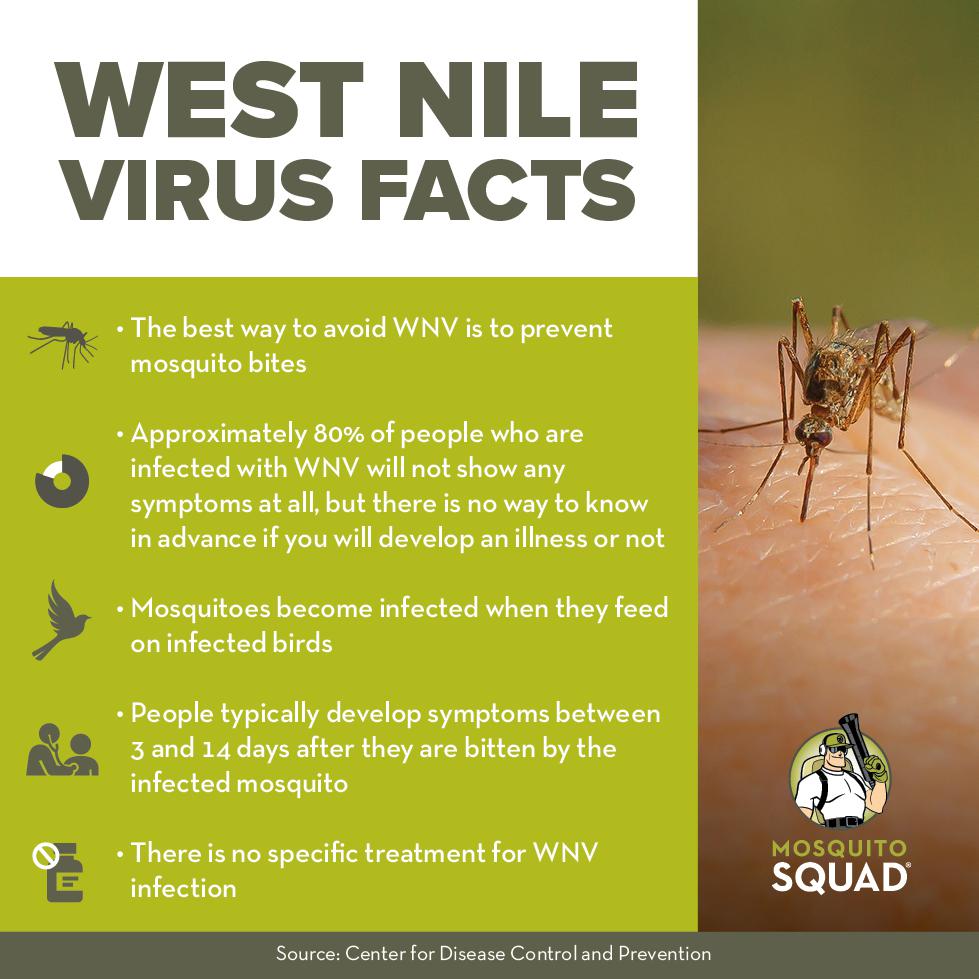 Understanding West Nile Virus in Maryland: A Comprehensive Guide